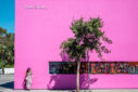 Pink Wall - Paul Smith