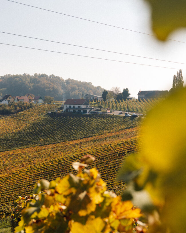Südsteirische Weinstraße - Südsteiermark im Herbst