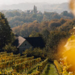 Südsteirische Weinstraße - Südsteiermark im Herbst