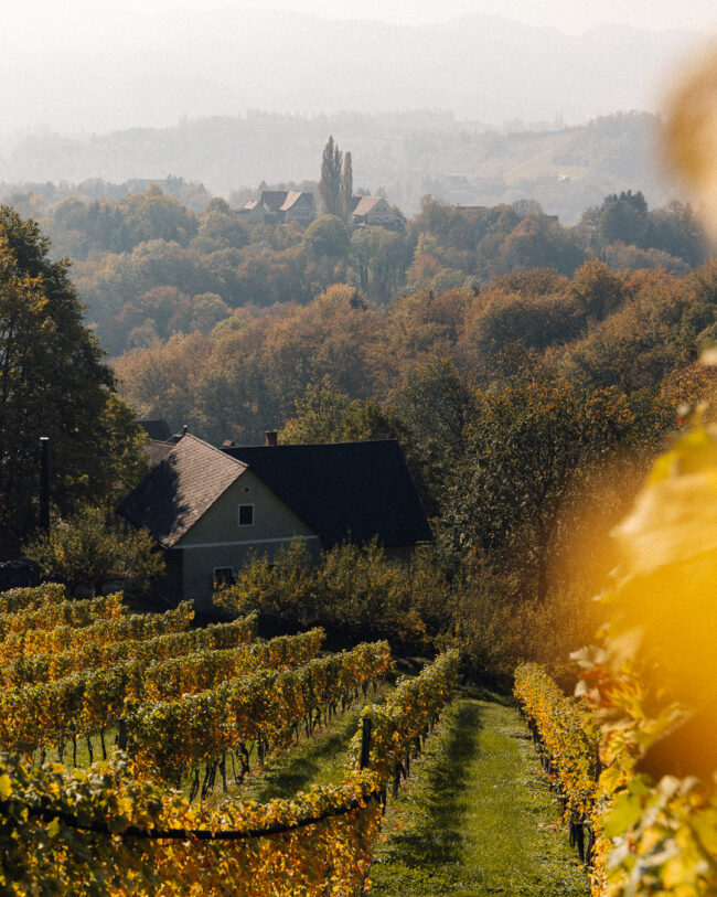 Südsteirische Weinstraße - Südsteiermark im Herbst
