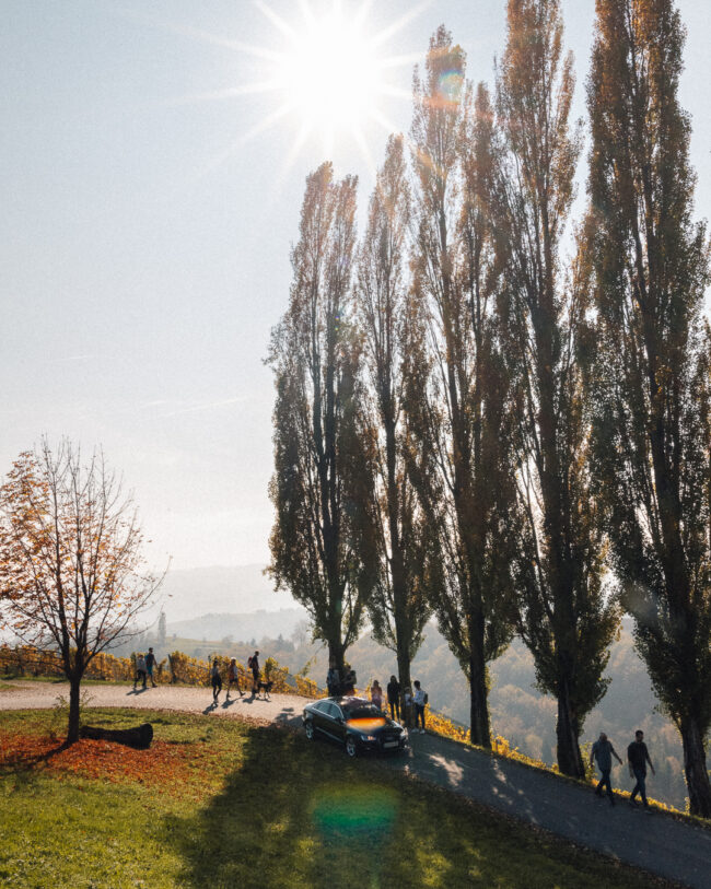 Südsteirische Weinstraße - Südsteiermark im Herbst