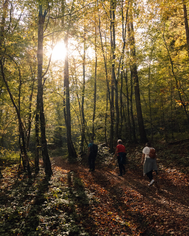 Südsteirische Weinstraße - Südsteiermark im Herbst